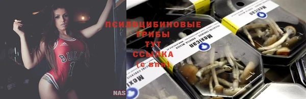 дживик Нефтегорск