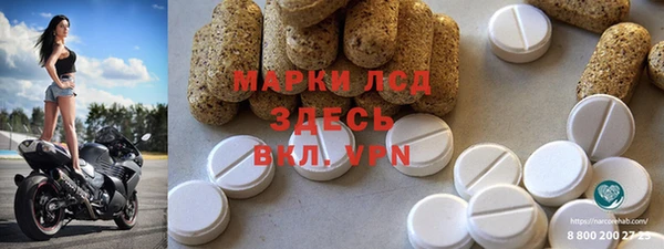 СК Новозыбков