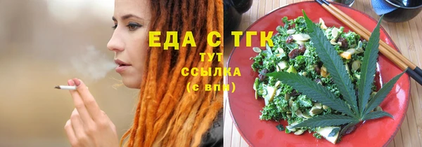 СК Новозыбков