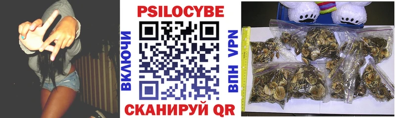 OMG ССЫЛКА  наркотики  Андреаполь  Псилоцибиновые грибы Magic Shrooms 